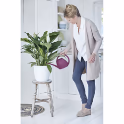 elho Brussels Round Intérieure Kit de plantation en pot Autonome Polypropylène (PP) Blanc - Vue supplémentaire 7