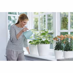 elho Brussels Round Intérieure Kit de plantation en pot Autonome Polypropylène (PP) Blanc - Vue supplémentaire 8