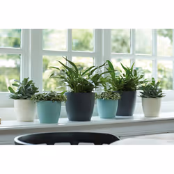 elho brussels round 30cm Intérieure Kit de plantation en pot Autonome Polypropylène (PP) Anthracite - Vue supplémentaire 6