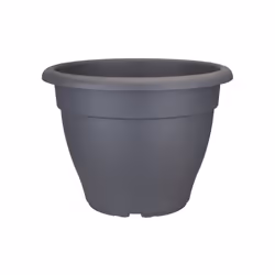 elho torino campana 35cm, Kit de plantation en pot, Autonome, Polypropylène (PP), Anthracite, Rond, Extérieure