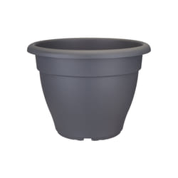 elho torino campana 35cm Extérieure Kit de plantation en pot Autonome Polypropylène (PP) Anthracite