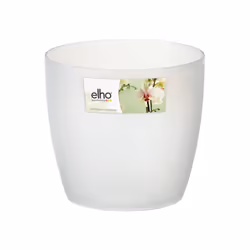 elho Brussels Orchid, Kit de plantation en pot, Autonome, Polypropylène (PP), Transparent, Rond, Intérieure