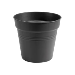 elho 8711904106607 pot à fleurs Intérieur & extérieur Plastique Noir