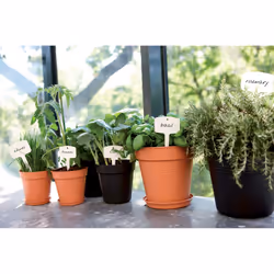 elho 8711904106607 pot à fleurs Intérieur & extérieur Plastique Noir - Vue supplémentaire 4