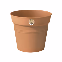 elho 6812813075200, Kit de plantation en pot, Autonome, Plastique, Marron, Cylindre, Intérieur &amp; extérieur