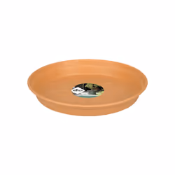 elho 8711904106997 accessoire de plantation Soucoupe