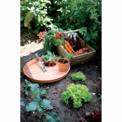 elho 8711904106997 accessoire de plantation Soucoupe