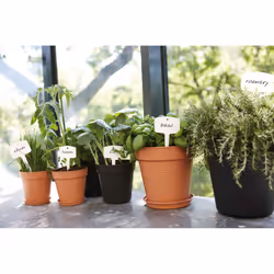 elho 8711904107024 accessoire de plantation Soucoupe