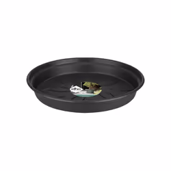 elho green basics saucer 17cm Soucoupe