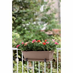 elho 8711904121143 accessoire de plantation Soucoupe