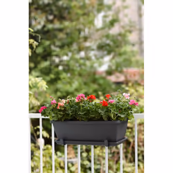 elho barcelona trough saucer 50cm Soucoupe