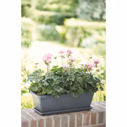 elho 8711904121181 accessoire de plantation Soucoupe - Vue supplémentaire 4