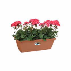 elho 8711904121204 pot à fleurs Extérieure Plastique Marron