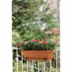 elho barcelona trough 70cm Extérieure Kit de plantation en pot Autonome Polypropylène (PP) Terre cuite