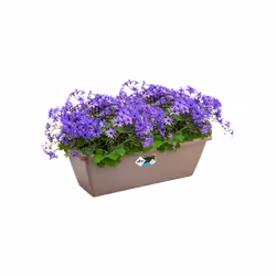 elho barcelona trough 70cm Extérieure Kit de plantation en pot Autonome Polypropylène (PP) Taupe