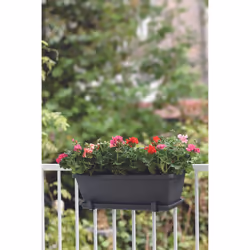 elho barcelona trough 70cm Extérieure Kit de plantation en pot Autonome Polypropylène (PP) Anthracite