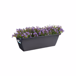 elho barcelona trough 90cm Extérieure Kit de plantation en pot Autonome Polypropylène (PP) Anthracite