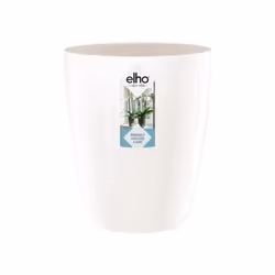 elho brussels diamond orchid high 12.5cm Intérieure Kit de plantation en pot Autonome Polypropylène (PP) Blanc
