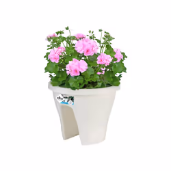 elho 8711904126551 pot à fleurs Extérieure Plastique Blanc
