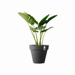 elho pure round 40 Intérieur & extérieur Kit de plantation en pot Autonome Polyéthylène à basse densité linéaire Anthracite