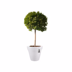 elho 8711904128975 jardinière Blanc Plastique