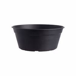 elho green basics bowl 33cm, Kit de plantation en pot, Autonome, Polypropylène (PP), Noir, Rond, Extérieure