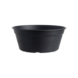 elho green basics bowl 33cm Extérieure Kit de plantation en pot Autonome Polypropylène (PP) Noir