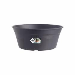 elho green basics bowl 33cm Extérieure Kit de plantation en pot Autonome Polypropylène (PP) Noir