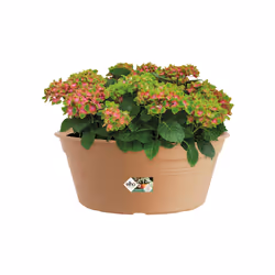 elho 8711904138097 jardinière Marron Plastique