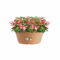 elho 8711904138158 jardinière Marron Plastique
