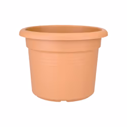 elho green basics cilinder 35cm, Kit de plantation en pot, Autonome, Polypropylène (PP), Terre cuite, Rond, Extérieure