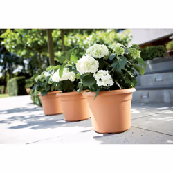 elho 8711904138851 jardinière Marron Plastique - Vue supplémentaire 4