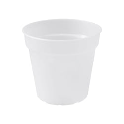 elho green basics orchid 17cm Intérieur & extérieur Kit de plantation en pot Autonome Polypropylène (PP) Transparent