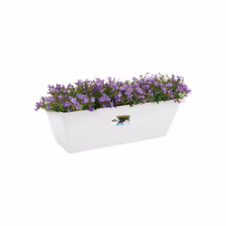 elho 8711904140298 pot à fleurs Extérieure Plastique Blanc