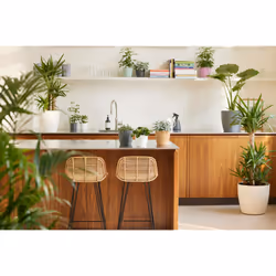 elho 8711904142322 jardinière Blanc Plastique - Vue supplémentaire 8