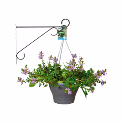 elho 8711904142711 accessoire de plantation