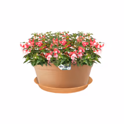 elho green basics saucer 45cm Soucoupe