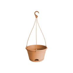 elho green basics hanging basket 28cm Extérieure Panier suspendu pour plantes Support Polypropylène (PP) Terre cuite