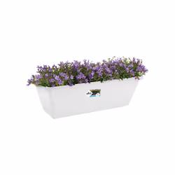 elho barcelona trough 70cm Extérieure Kit de plantation en pot Autonome Polypropylène (PP) Blanc