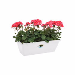 elho barcelona trough 70cm Extérieure Kit de plantation en pot Autonome Polypropylène (PP) Blanc - Vue supplémentaire 4