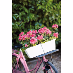 elho barcelona trough 70cm Extérieure Kit de plantation en pot Autonome Polypropylène (PP) Blanc - Vue supplémentaire 5