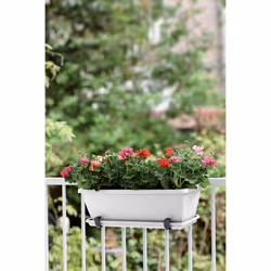elho barcelona trough 70cm Extérieure Kit de plantation en pot Autonome Polypropylène (PP) Blanc - Vue supplémentaire 6