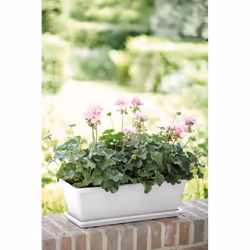 elho barcelona trough 70cm Extérieure Kit de plantation en pot Autonome Polypropylène (PP) Blanc - Vue supplémentaire 7