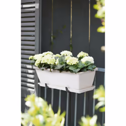 elho 8711904154349 accessoire de plantation Soucoupe