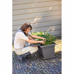 elho green basics garden xxl 80cm Extérieure Kit de plantation en pot Autonome Polypropylène (PP) Noir - Vue supplémentaire 4