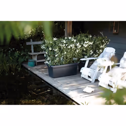 elho green basics garden xxl 80cm Extérieure Kit de plantation en pot Autonome Polypropylène (PP) Noir - Vue supplémentaire 5