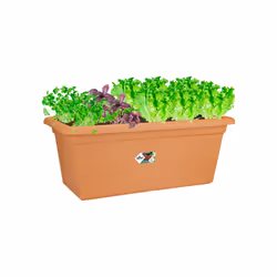 elho green basics garden xxl 100cm Extérieure Kit de plantation en pot Autonome Polypropylène (PP) Terre cuite