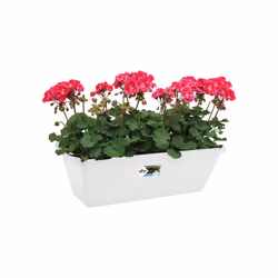 elho 8711904157272 pot à fleurs Extérieure Plastique Blanc