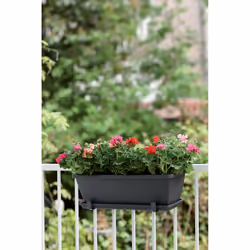 elho 8711904157401 pot à fleurs Extérieure Plastique Noir - Vue supplémentaire 4