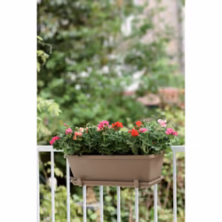 elho 8711904157517 accessoire de plantation Soucoupe